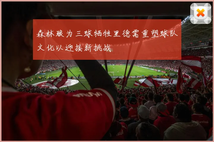 森林狼为三球牺牲里德需重塑球队文化以迎接新挑战