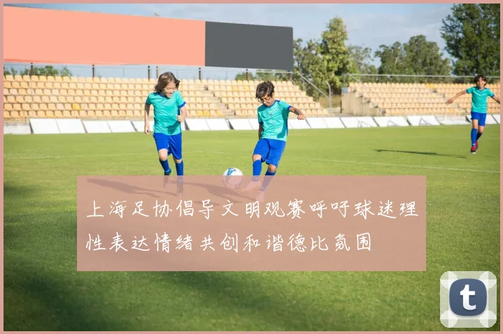 上海足协倡导文明观赛呼吁球迷理性表达情绪共创和谐德比氛围